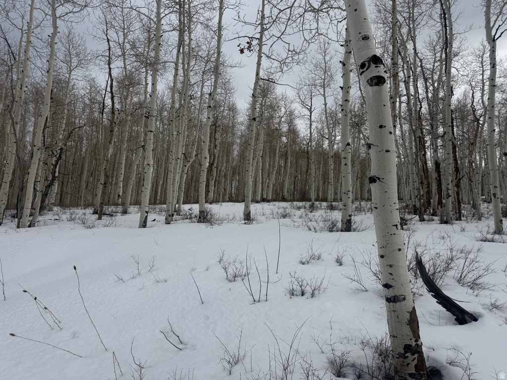 DR Spanish Fork, UT 84660