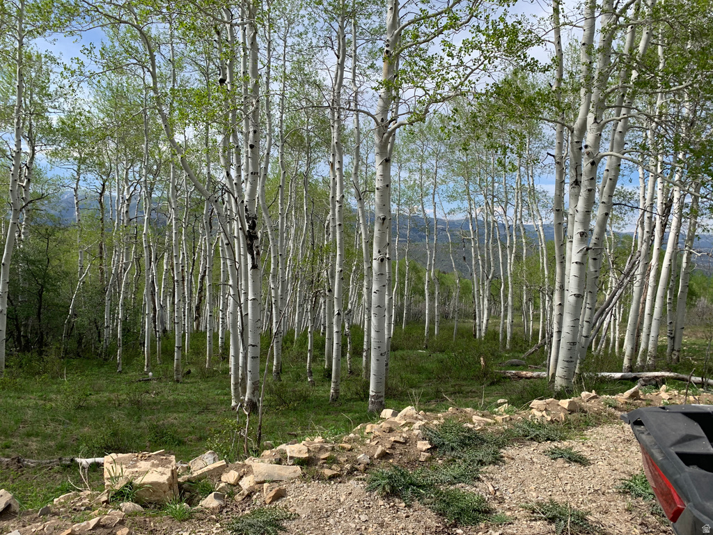 DR Spanish Fork, UT 84660