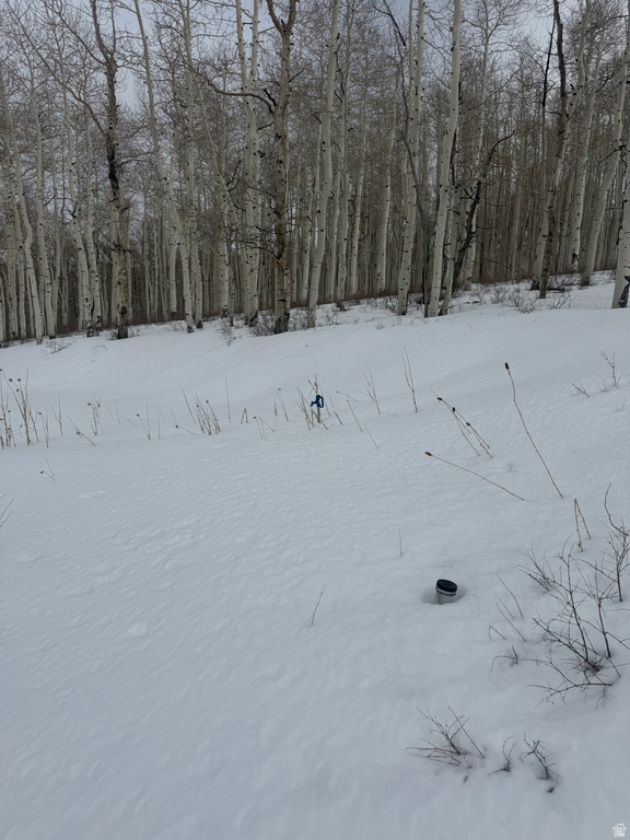 DR Spanish Fork, UT 84660