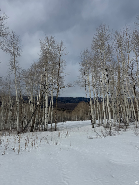 DR Spanish Fork, UT 84660