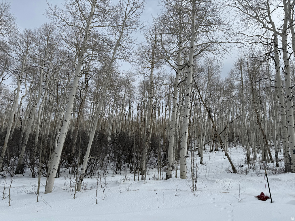 DR Spanish Fork, UT 84660