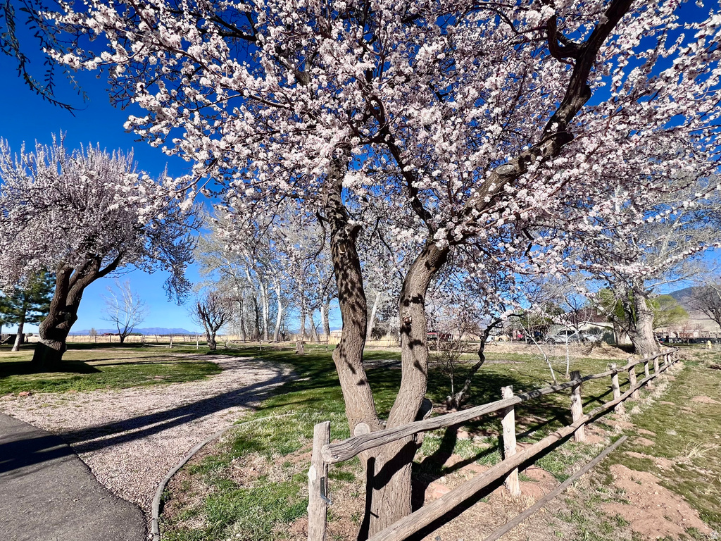 479 E 100 N Meadow, UT 84644