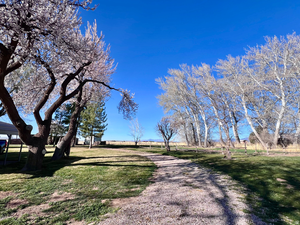 479 E 100 N Meadow, UT 84644