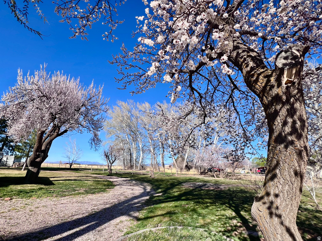 479 E 100 N Meadow, UT 84644