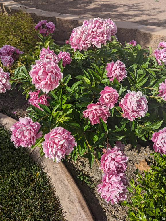 2088 N 450 W Sunset, UT 84015