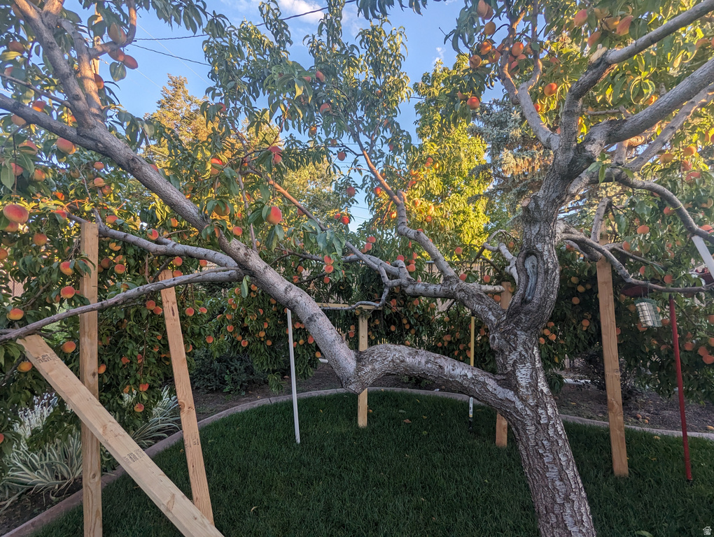 2088 N 450 W Sunset, UT 84015