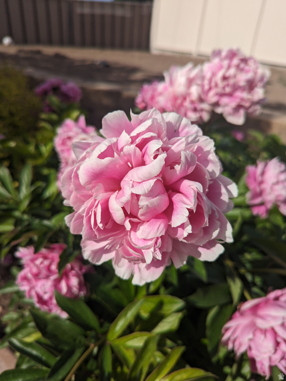 2088 N 450 W Sunset, UT 84015