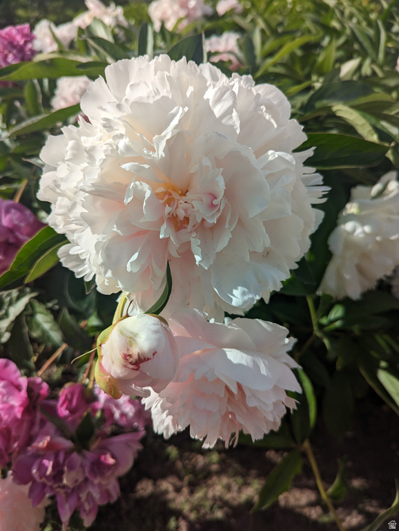 2088 N 450 W Sunset, UT 84015