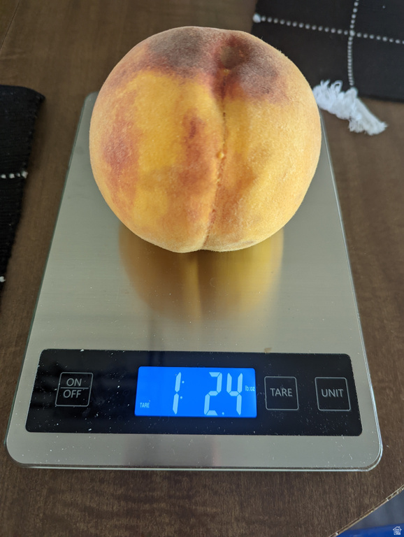 2088 N 450 W Sunset, UT 84015