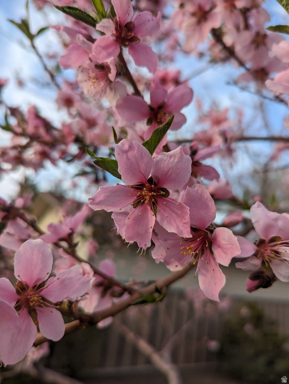 2088 N 450 W Sunset, UT 84015