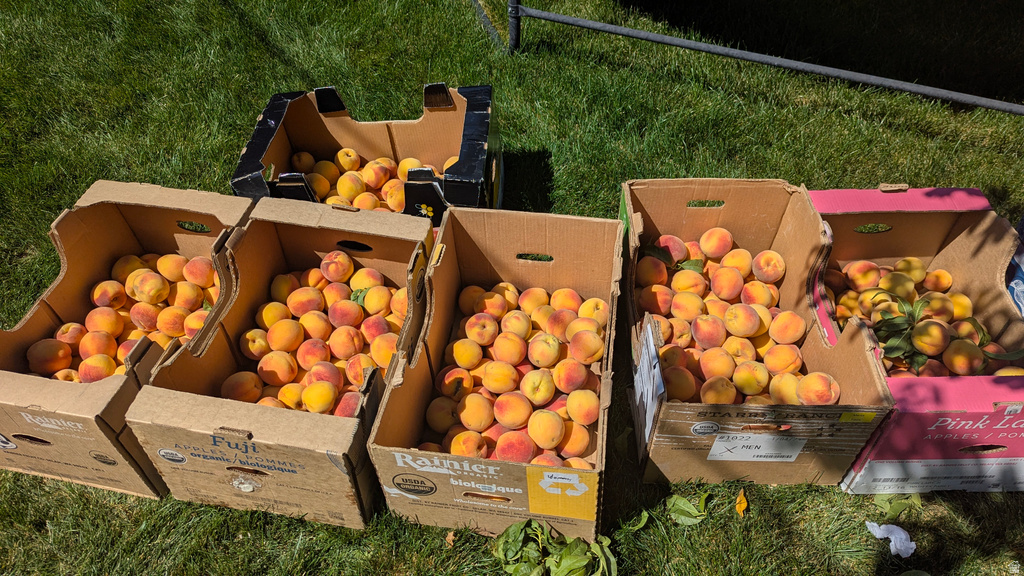 2088 N 450 W Sunset, UT 84015