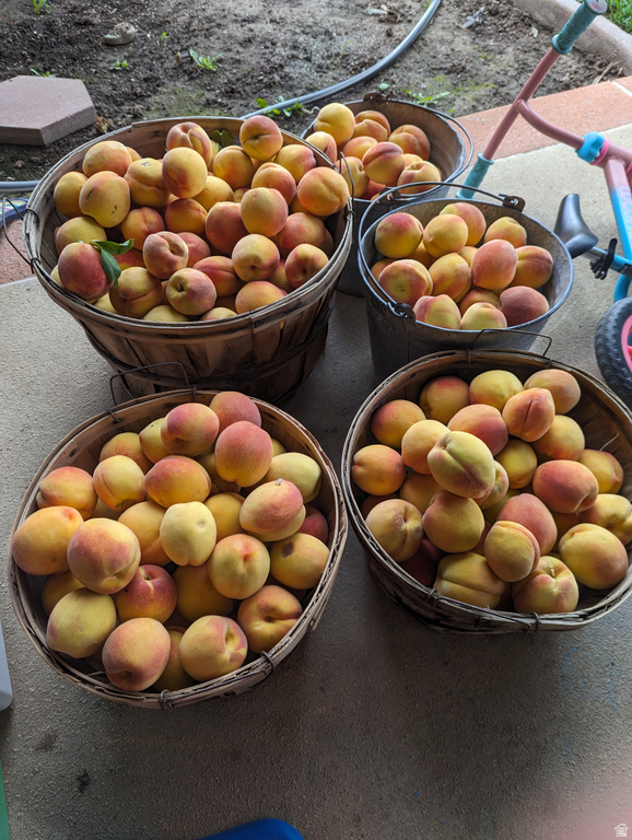 2088 N 450 W Sunset, UT 84015