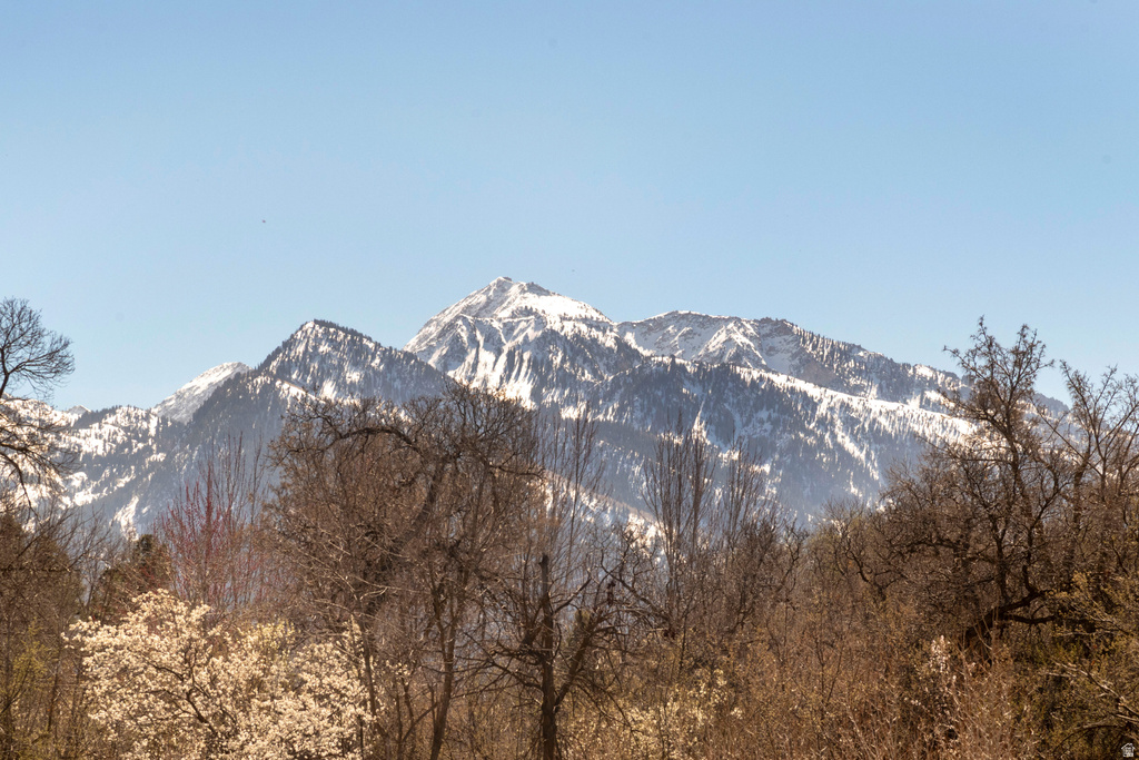 2614 E PROVIDENCE CT Holladay, UT 84121