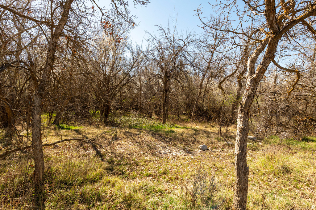 2614 E PROVIDENCE CT Holladay, UT 84121