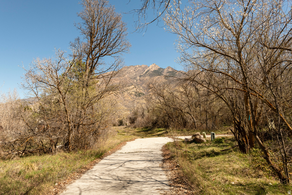 2614 E PROVIDENCE CT Holladay, UT 84121