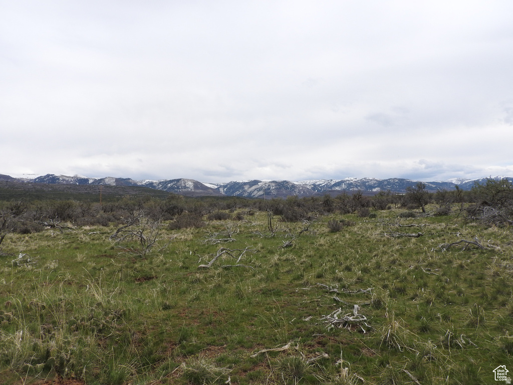  Mt Pleasant, UT 84647