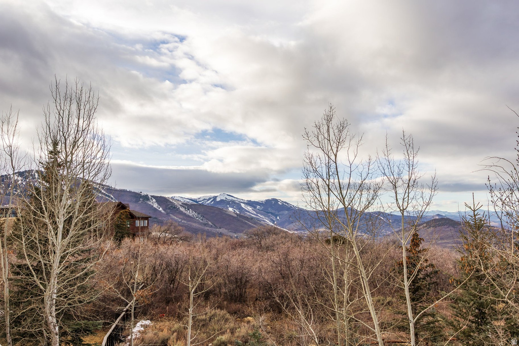 1403 EAGLE WAY Park City, UT 84060