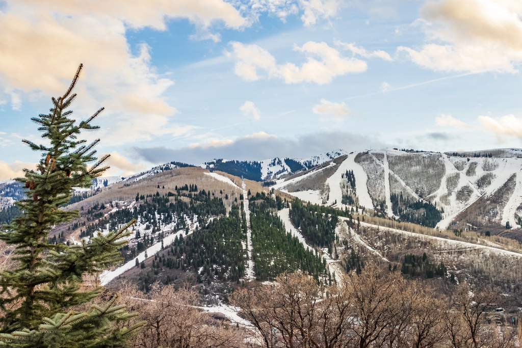 1403 EAGLE WAY Park City, UT 84060