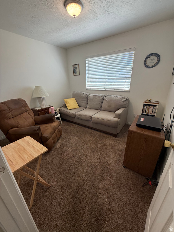 591 E 300 S Mt Pleasant, UT 84647