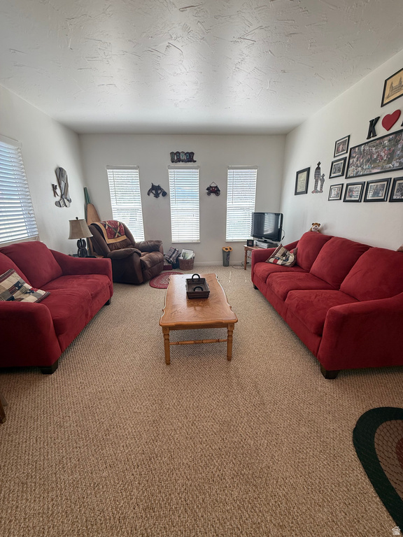 591 E 300 S Mt Pleasant, UT 84647