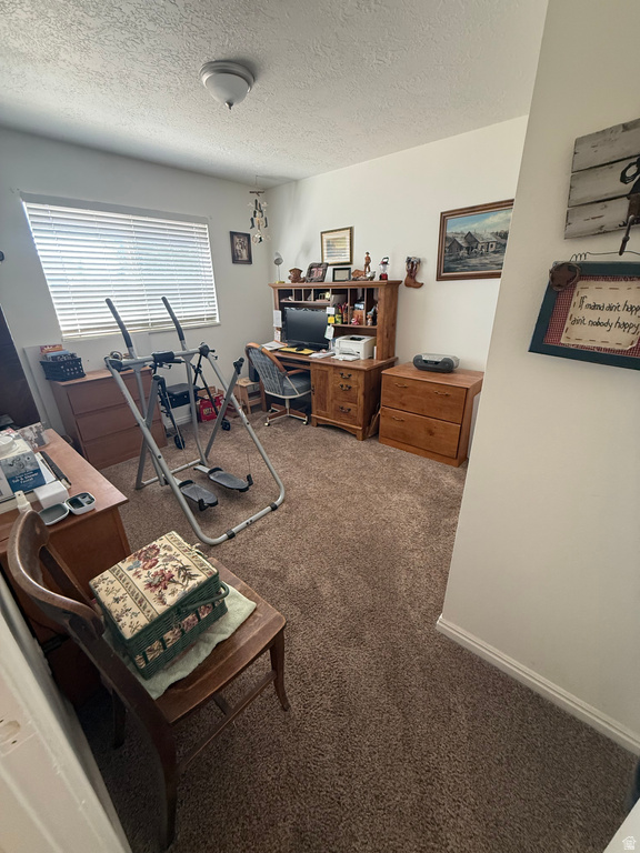 591 E 300 S Mt Pleasant, UT 84647