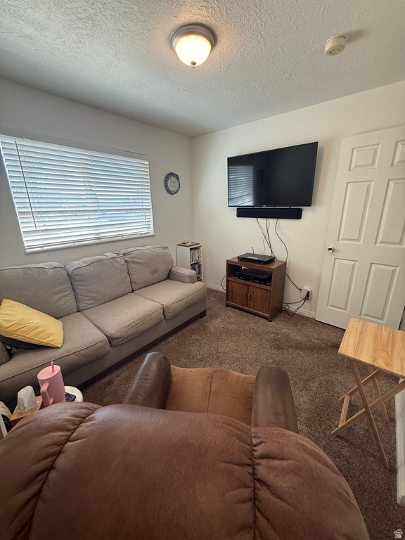 591 E 300 S Mt Pleasant, UT 84647