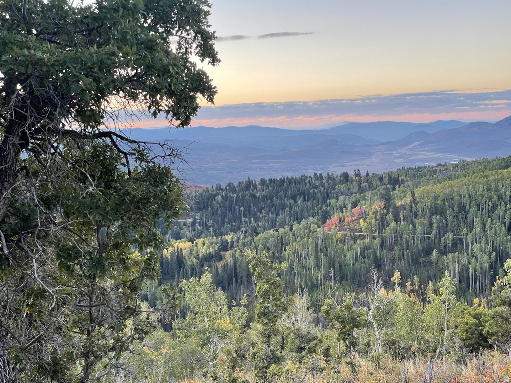 14020  ASPEN RIDGE CIR Coalville, UT 84017