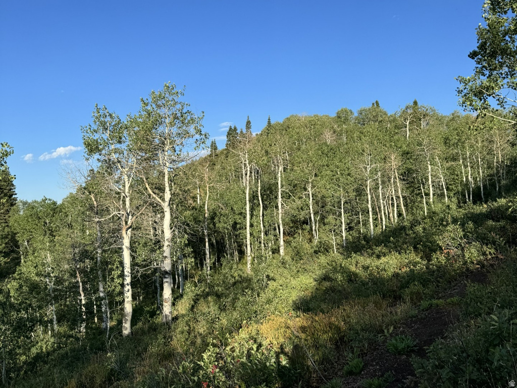 14020  ASPEN RIDGE CIR Coalville, UT 84017