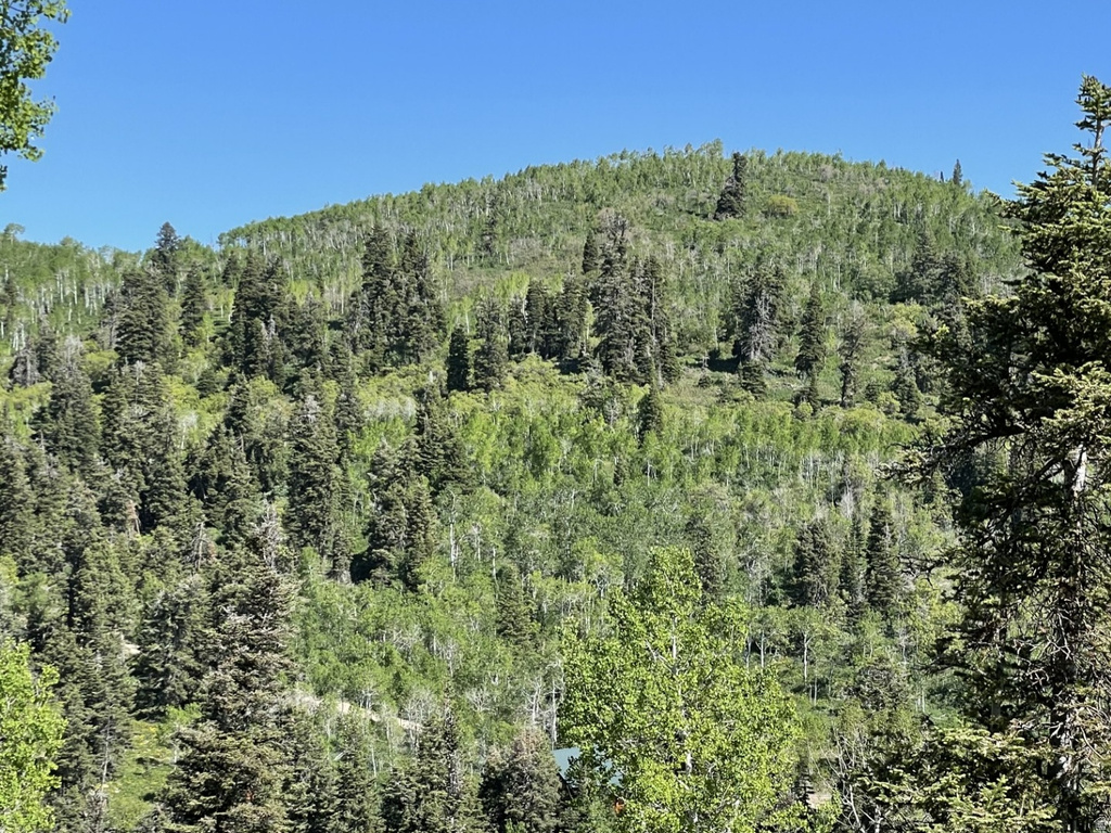 14020  ASPEN RIDGE CIR Coalville, UT 84017