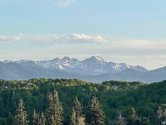 14020  ASPEN RIDGE CIR Coalville, UT 84017