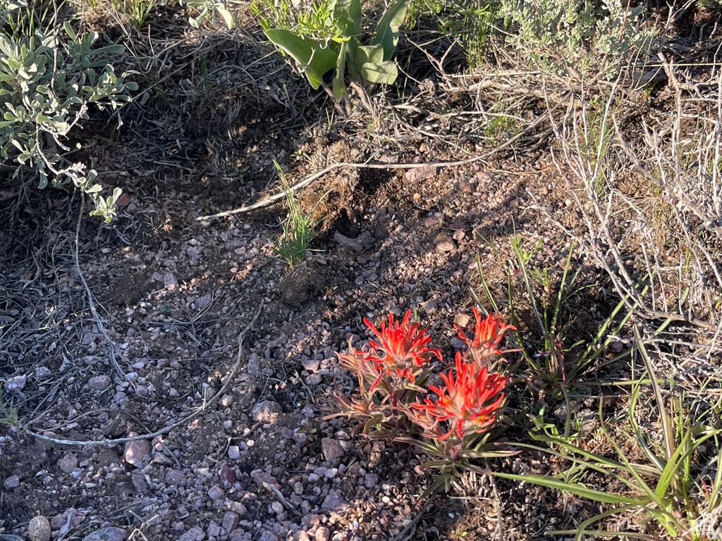 200  MILL FARM RD Montpelier, ID 83254