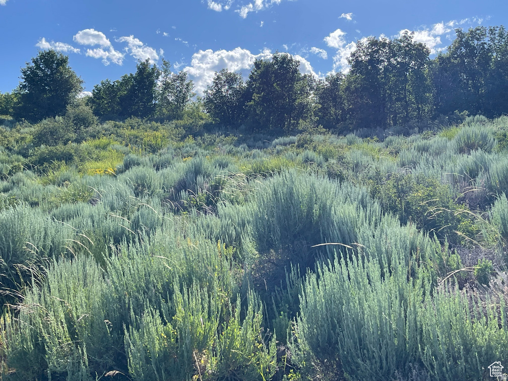 200  MILL FARM RD Montpelier, ID 83254