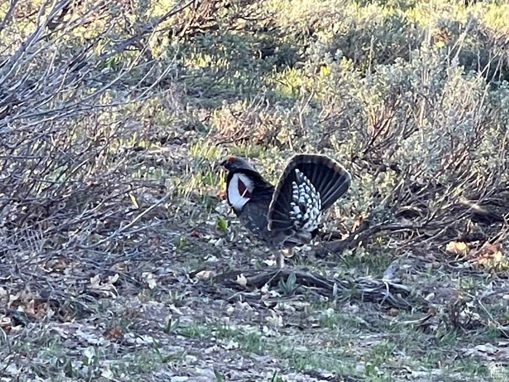 200  MILL FARM RD Montpelier, ID 83254