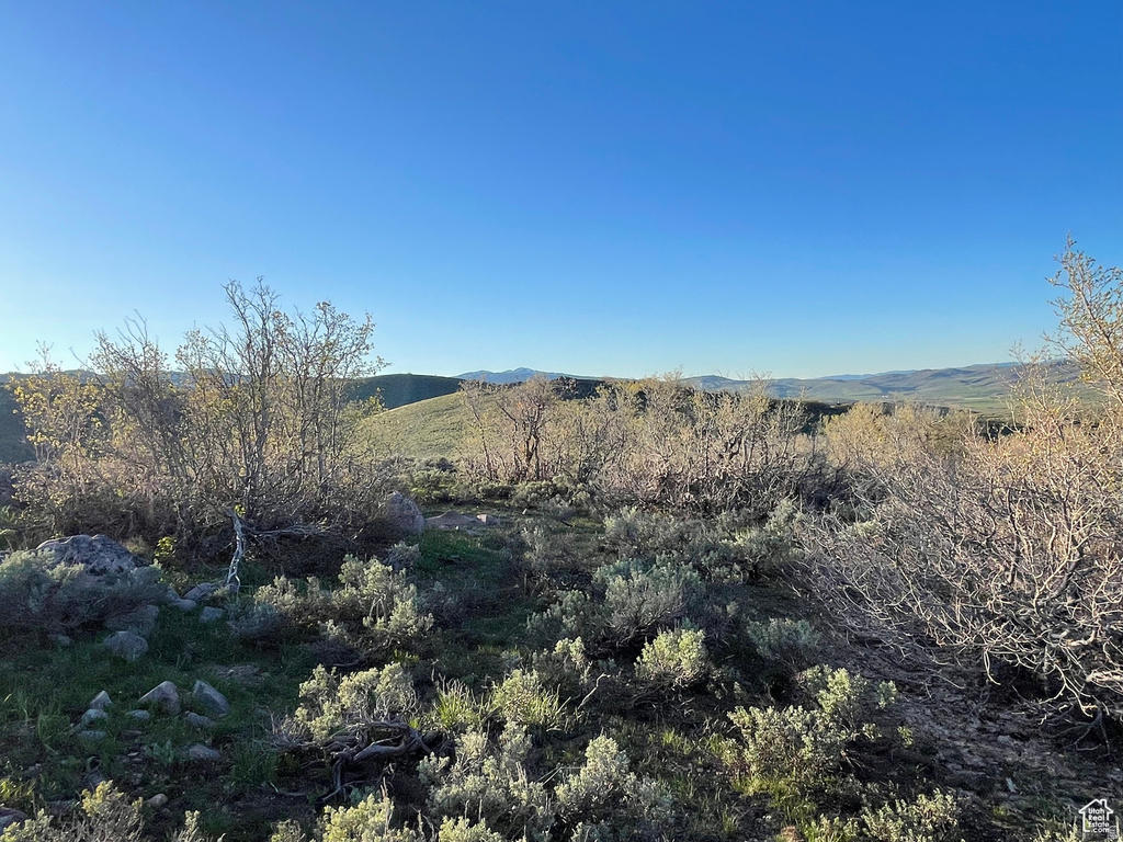 200  MILL FARM RD Montpelier, ID 83254