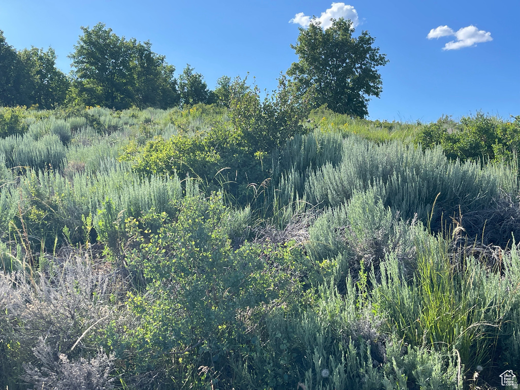 200  MILL FARM RD Montpelier, ID 83254