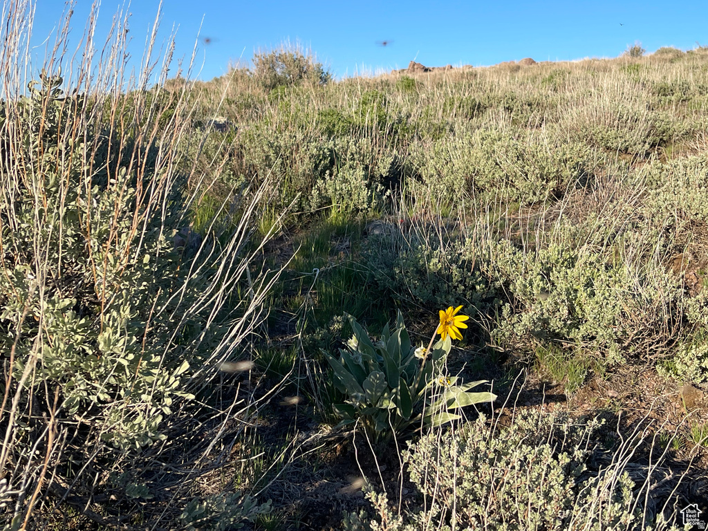 200  MILL FARM RD Montpelier, ID 83254