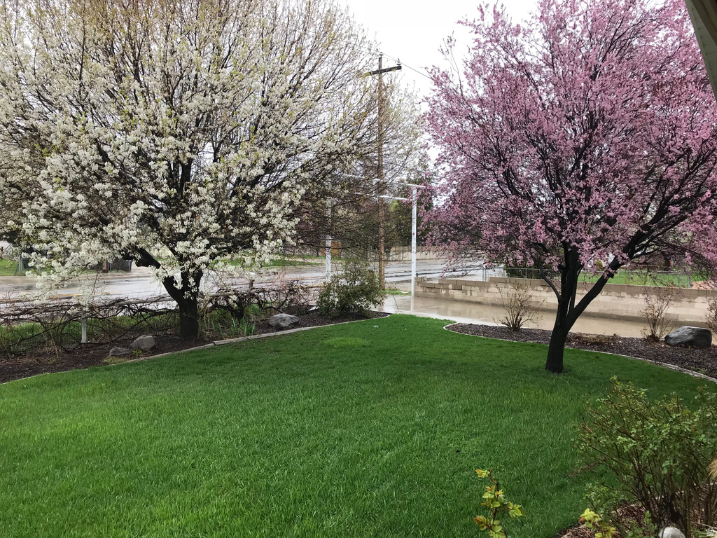 8701 S TEMPLE DR West Jordan, UT 84088