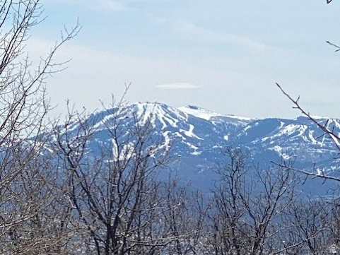 2604 S FOREST MEADOW RD Coalville, UT 84017