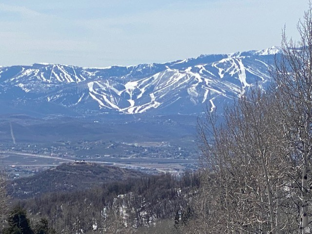 2604 S FOREST MEADOW RD Coalville, UT 84017