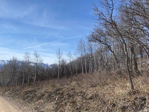 2604 S FOREST MEADOW RD Coalville, UT 84017