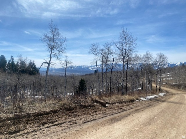 2604 S FOREST MEADOW RD Coalville, UT 84017