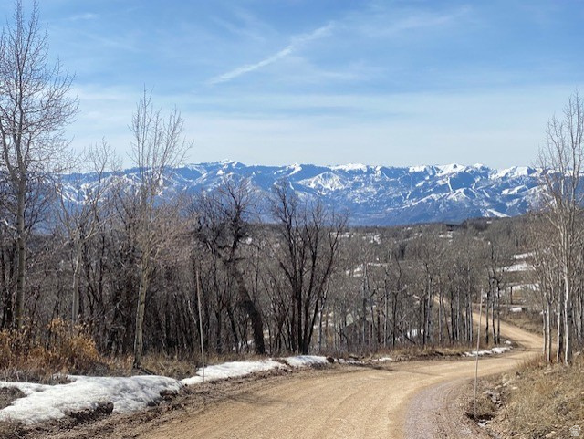 2604 S FOREST MEADOW RD Coalville, UT 84017