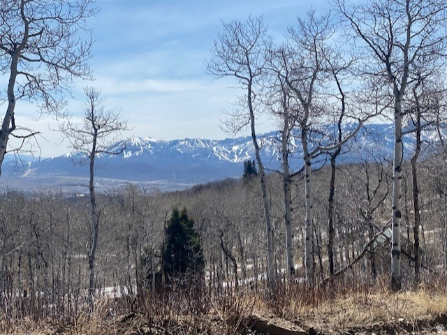 2604 S FOREST MEADOW RD Coalville, UT 84017