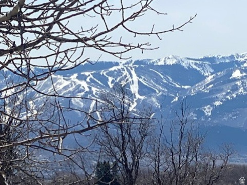 2604 S FOREST MEADOW RD Coalville, UT 84017