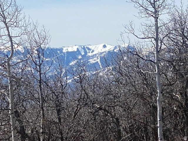 2604 S FOREST MEADOW RD Coalville, UT 84017