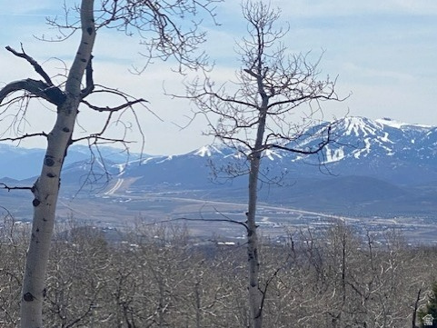 2604 S FOREST MEADOW RD Coalville, UT 84017