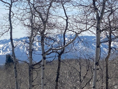 2604 S FOREST MEADOW RD Coalville, UT 84017