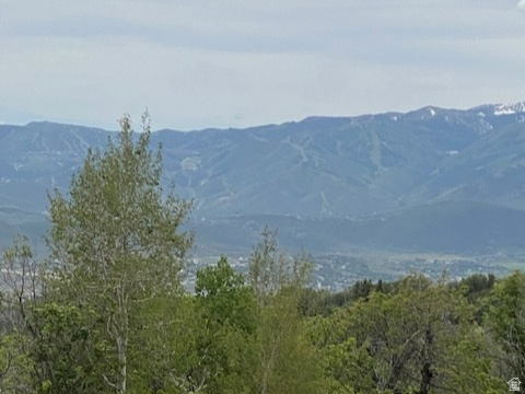 2604 S Forest Meadow Rd #C-82, Coalville, UT 84017
