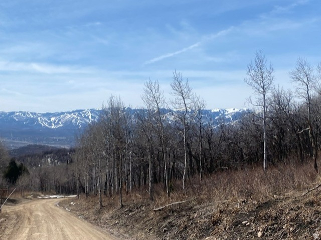 2604 S FOREST MEADOW RD Coalville, UT 84017