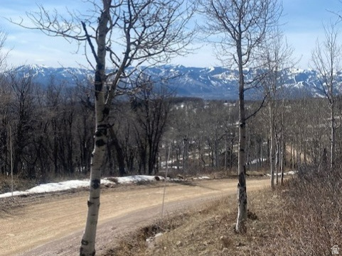 2604 S FOREST MEADOW RD Coalville, UT 84017